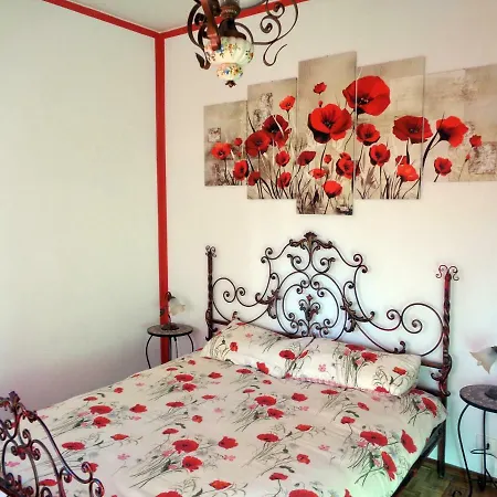 Corso Italia 